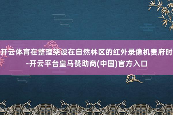 开云体育在整理架设在自然林区的红外录像机贵府时-开云平台皇马赞助商(中国)官方入口